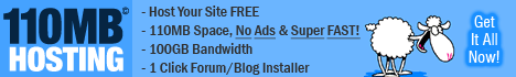 110mb-hosting-b2.gif